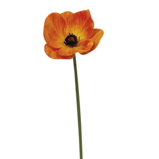 Foamy Poppy Stem 11" {1}