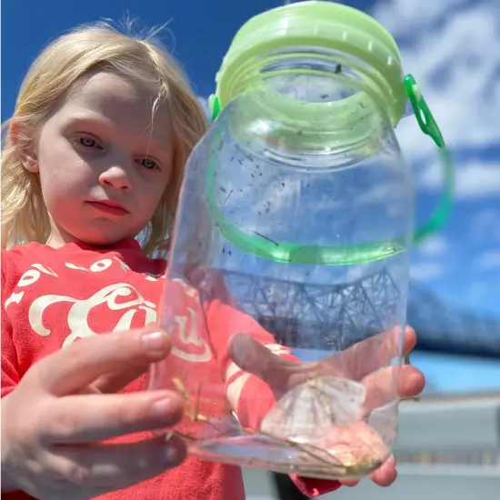 reCAP Kids Exlore Mason Jar Bug Catcher and Habitat Kit, Glow in the Dark Green with Magnifying Lid, 4 x 7 inches {4}