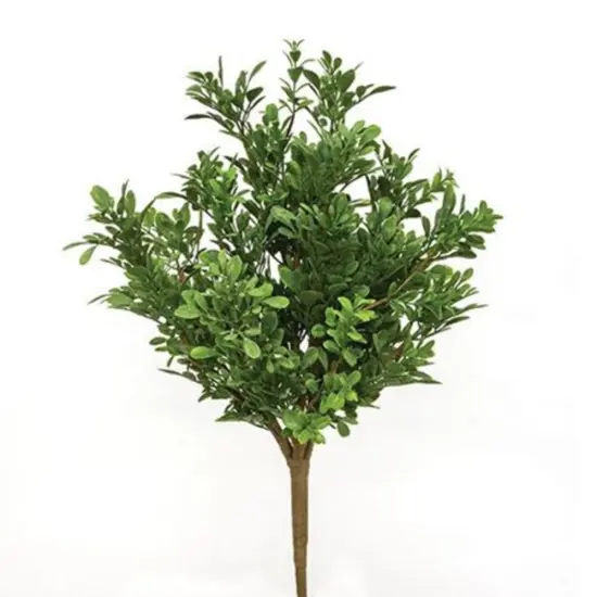 19" High Heritage Dark Green Boxwood Bush with Flexible Brown Stem {1}