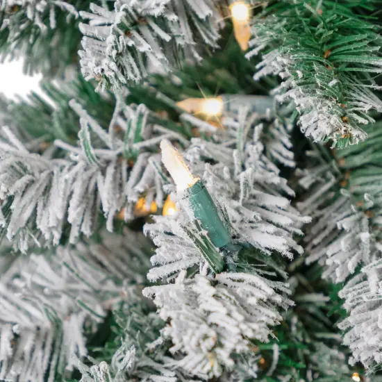 Northlight Pre-Lit Pencil Flocked Alpine Artificial Christmas Tree - 3.5' - Clear Lights Green {6}