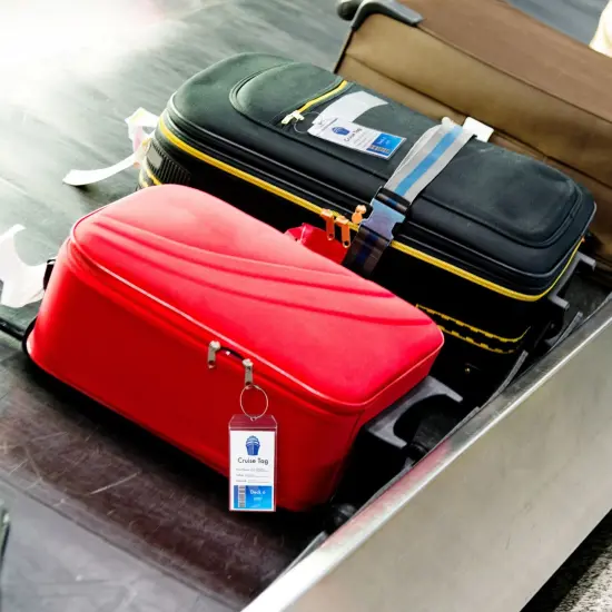 20 Pack Plastic Cruise Luggage Tags, Bulk Zip Seal and Steel Loops for Suitcases (3.5 x 7.2 In) Clear {3}