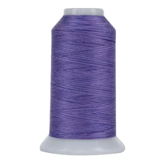 9019 Lydia Omni Variegated Polyester Thread {1}