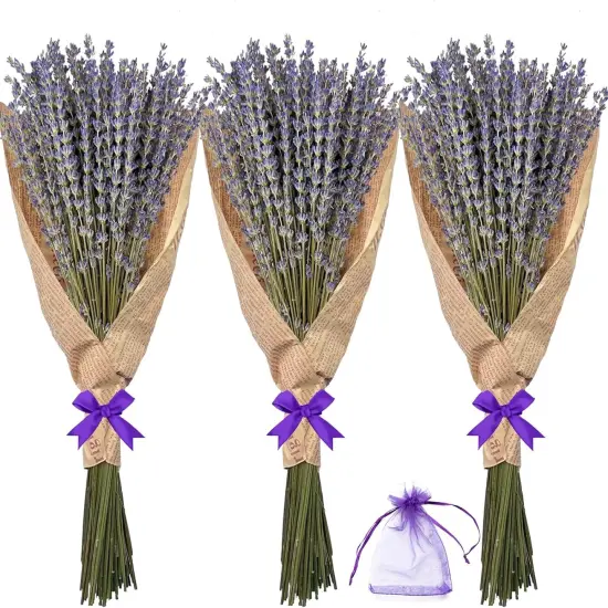 Dried Lavender Flowers Bundles, Natural Dry Lavender Flowers 220-240 Stems 16'' for Vase Home Wedding Party Decoration Arrangements Fragrance 3 Bundles {1}