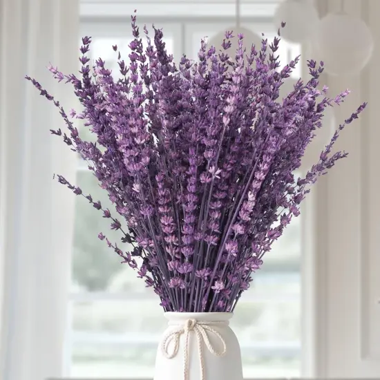 Dried Purple Lavender Flowers Bundle-Dried Preserved Lavender Bouquet 15-17" for Shower Weeding Home Vase Decor, Crafts, Aromatherapy, Fragrance, Fresh Silk Dry Live Plants, 50g(1.76oz) {1}