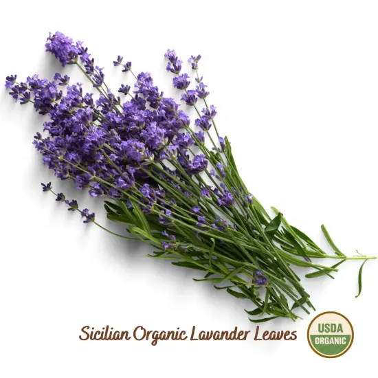 Organic Dried Lavender Bunch 25 g (0.88 oz), Freshly Grown in The Mountains of Sicily, Culinary Lavender, Italian Dried Lavender Branches, Herb, Spices, Certified USDA Organic {5}