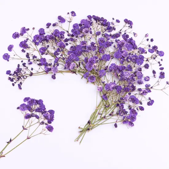30 Branches Purple Pressed Flowers Bulk Dried Flower Kit for Resin , Dried Babys Breath Flower Natural {1}