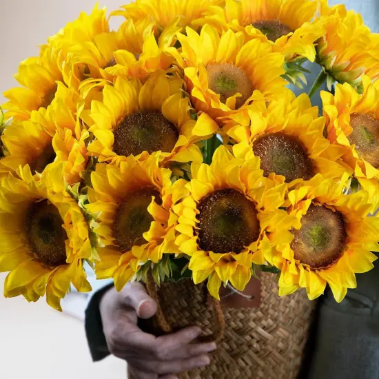10 Pcs Summer Floral Arrangement Sunflowers Artificial Flowers with Golden Yellow Long Stems for Home Decoration {4}
