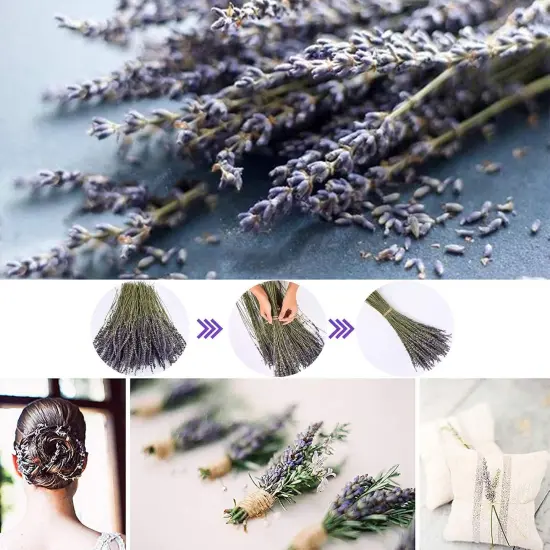 Dried Lavender Bundles Lavender Bunches Dry Lavender Flowers for Home Decor, Crafts, Wedding Bouquets {3}