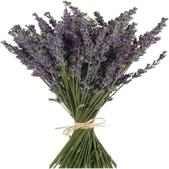Natural Lavender Bundles, Freshly Harvested 400+ Stems Dried Lavender Bunch 16" - 18" Long, Decorative Flowers Bouquet for Home Decor, Crafts, Gift, Wedding or Any Occasion {1}