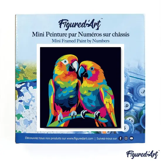 Figured'Art Mini Paint by Numbers Kit for Adults with Frame Parrots Abstract Pop Art Small format 8"x8" - Craft Art Painting DIY Canvas Already Stretched on a Wooden Frame {3}