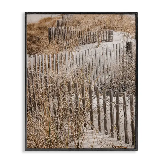 Stupell Industries Snaking Beach Fence Framed Giclee Wall Art Design by LSR Design Studio {1}