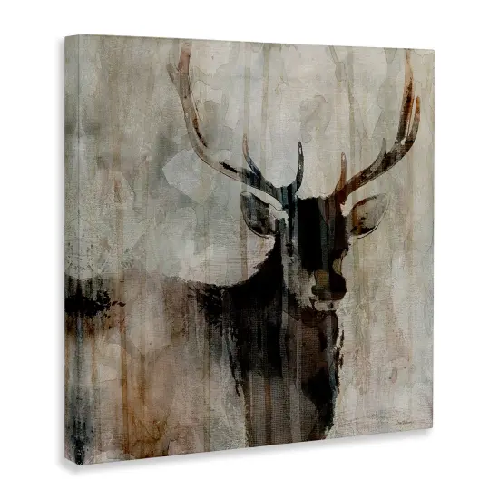 Stupell Industries Rustic Elk Mirage Canvas By Carol Robinson {3}
