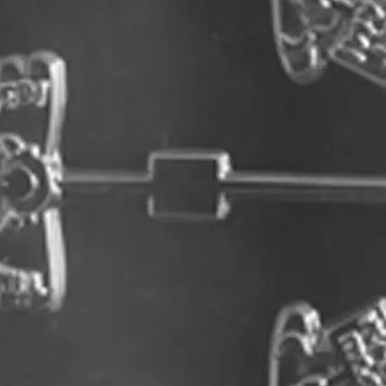 Funny Turkey Sayings Lolly Chocolate Mold {4}