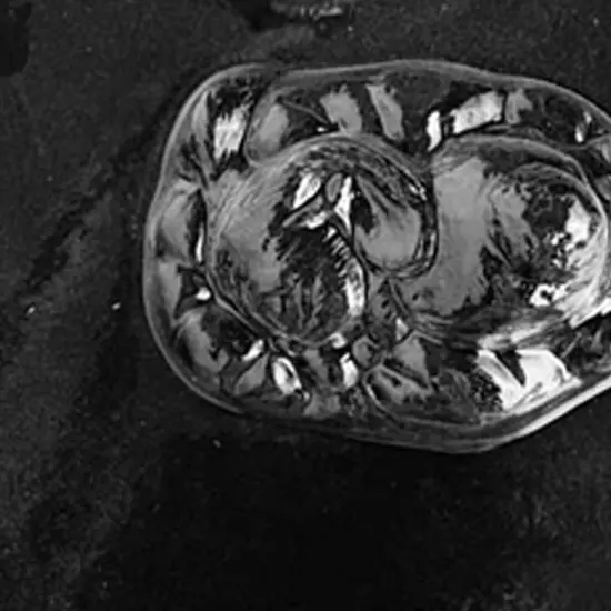 Sleeping Bunny Chocolate Mold {4}