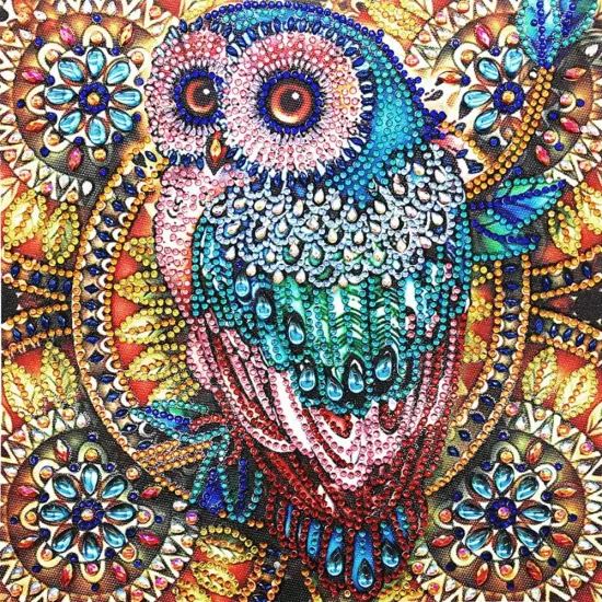 Owl Diamond Art Painting Kits for Adults {1}