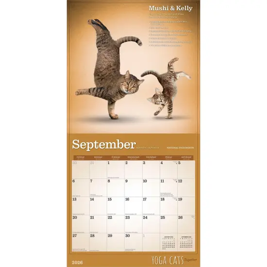 Yoga Cats Together OFFICIAL | 2026 12 x 24 Inch (Hanging) Monthly Square Wall Calendar {4}