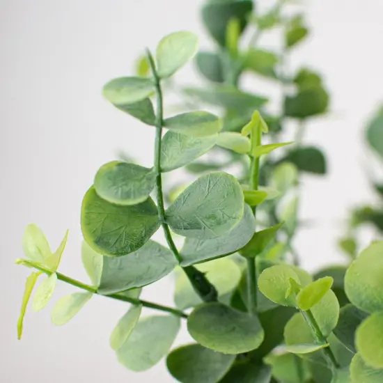 16.5" Eucalyptus Bush {2}