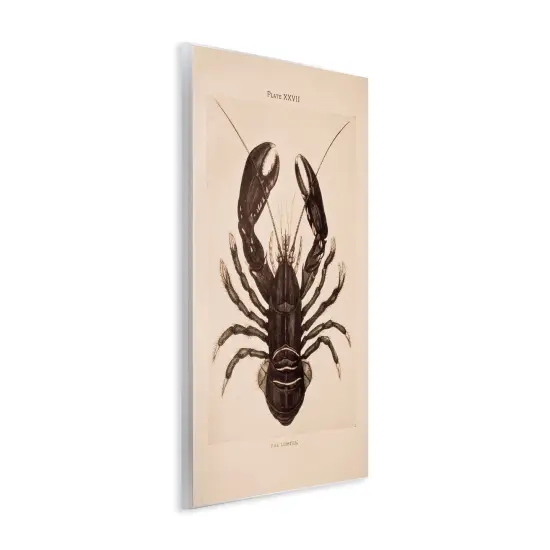 Stupell Industries Vintage Detail Lobster Wall Plaque By Deborah Revell {3}