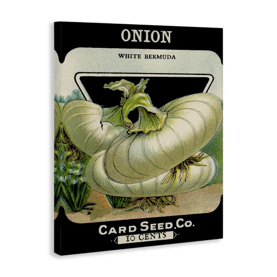 Stupell Industries Vintage Gardening Onion Canvas By Lil' Rue {3}
