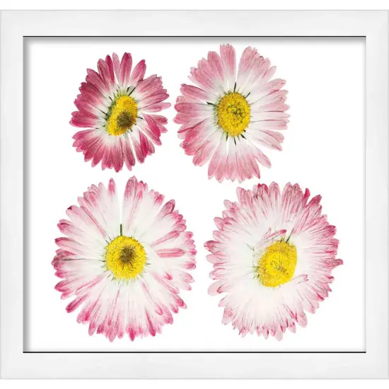 Modern Shadow Box 1" Depth White Picture Frame - UV Acrylic, Backing, Hanging Hardware {4}