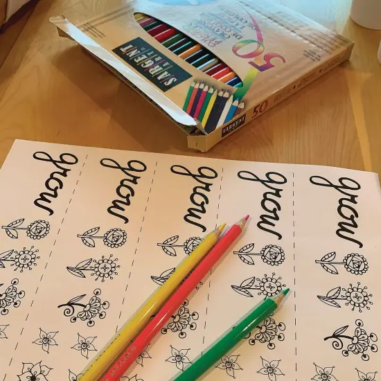 Zinnia Flower Gardens (Pack of 48) {6}