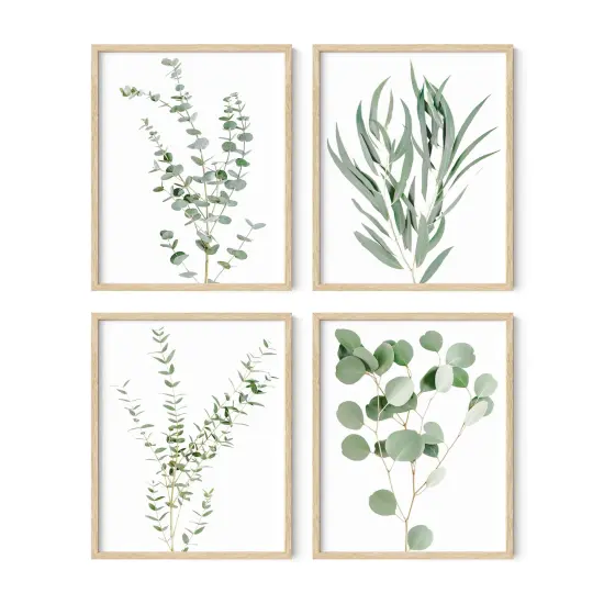 Haus and Hues Botanical Prints Set of 4 Eucalyptus leaves {1}