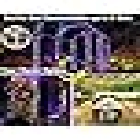 Waterproof for Christmas Decoration {2}