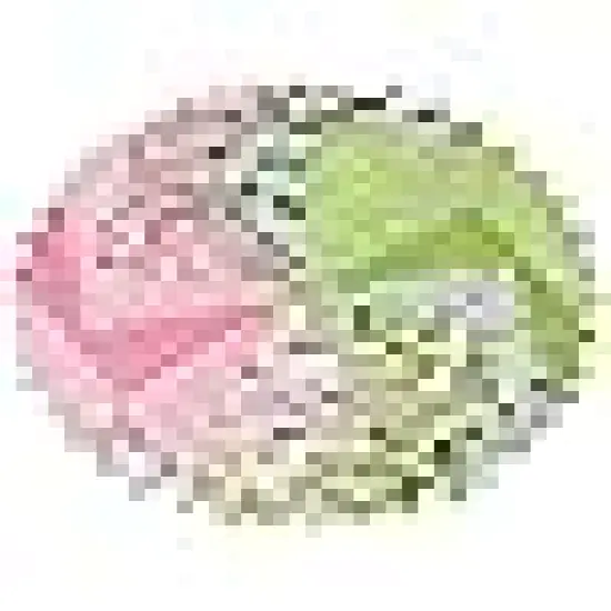 Layer Cake Fabric for Quilting {1}