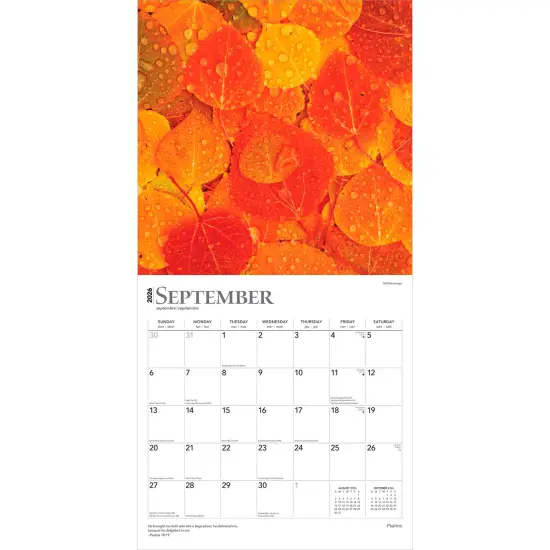 Psalms | 2026 12 x 24 Inch (Hanging) Monthly Square Wall Calendar | Plastic-Free {4}