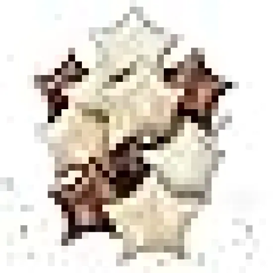 Nude Helium Balloon for Boho Baby Shower Birthday Wedding Party {1}