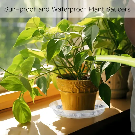 6 Pack Plant Saucers of 14 Inch {4}