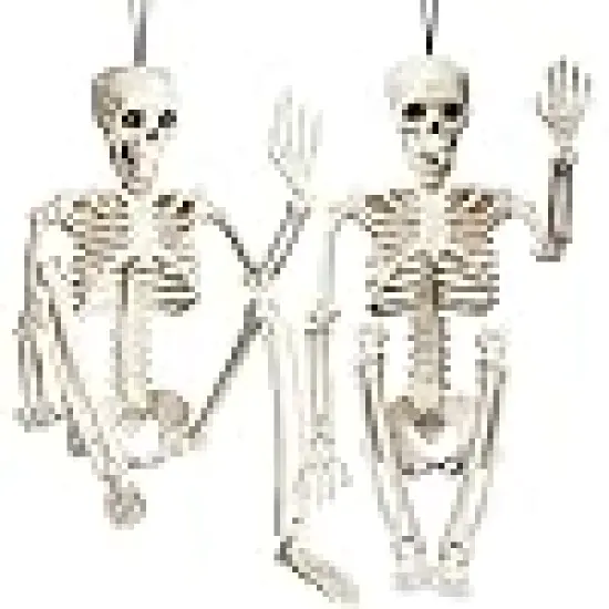 Full Body Skeleton with Movable Posable Joints, {1}