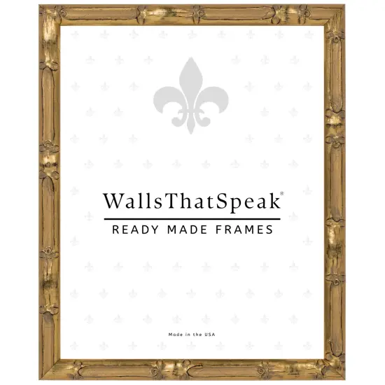 23x35 Picture Frame, Vintage Bamboo 0.625 Inch Wood Moulding, Wall Display Frame for Art, Posters, or Photos by wallsthatspeak Silver {5}