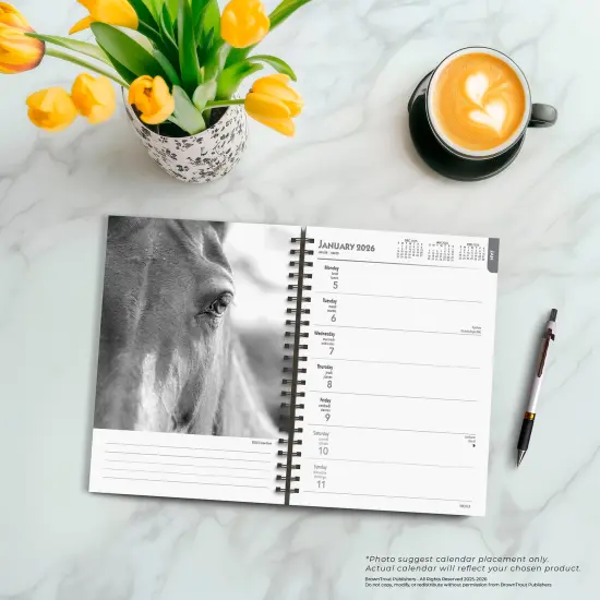 The BrownTrout Portrait Series: The Noble Horse | 2026 6x7.75 Inch Spiral-Bound Wire-O Weekly Engagement Planner Calendar | New Image Every Week {5}
