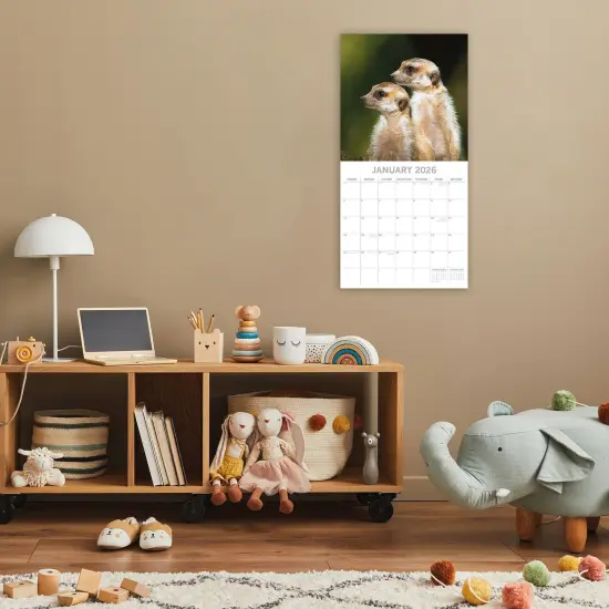 The Gifted Stationary 2026 Square Wall Calendar, Meerkats, 16-Month Animals Theme Hanging Calendar with 180 Reminder Stickers, Month Planner for Home, Creative Spaces, 12x12 In Multicolor {2}
