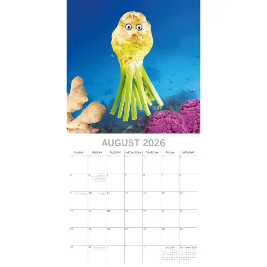 The Gifted Stationary 2026 Square Wall Calendar, Sea Food, 16-Month Funny Corner Theme Hanging Calendar with 180 Reminder Stickers, Month Planner for Home, or Creative Spaces, 12x12 In Multicolor {3}