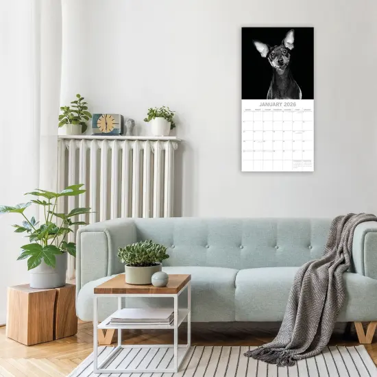 The Gifted Stationary 2026 Square Wall Calendar, Dog Portraits, 16-Month Black and White Photos with 180 Reminder Stickers (12 x 12 In) Multicolor {2}