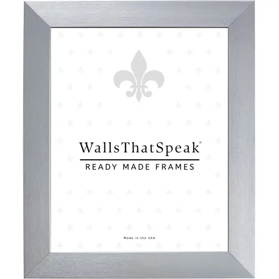 17x24 Picture Frame, Modern Aesthetics 1.25 Inch Polystyrene Moulding, Wall Display Frame for Art, Posters, or Photos by wallsthatspeak Silver {1}