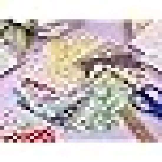 Quilting Squares Printed Floral Patchwork Fabric Bundles for DIY {3}