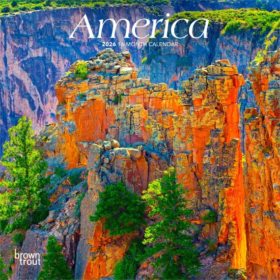 America | 2026 7 x 14 Inch (Hanging) Monthly Mini Wall Calendar {1}