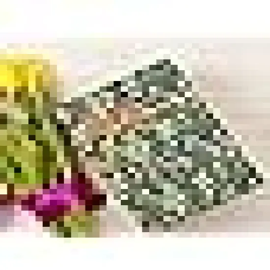 Squares Eucalyptus Leaves Sewing Fabrics for DIY Craft Party Decor {5}