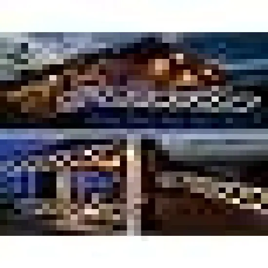 Christmas Lights Outdoor Indoor {4}