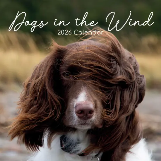 The Gifted Stationary 2026 Square Wall Calendar, Dogs in the Wind, 16-Month Humor Theme Hanging Calendar with 180 Reminder Stickers, Month Planner for Home or Creative Spaces, 12x12 In Multicolor {1}
