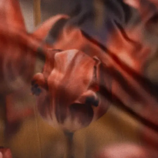 1 Yard Red Light Brown Large Tulip Polyester Mikado Fabric Exclusive Tulip Transformation Print 57 inch Width {1}