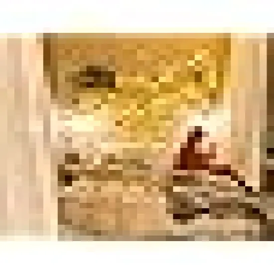 Christmas Lights Outdoor Waterproof with 8 Modes {2}