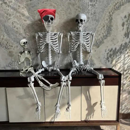 5.4ft/165cm Halloween Skeleton - Life Size Skeleton {5}