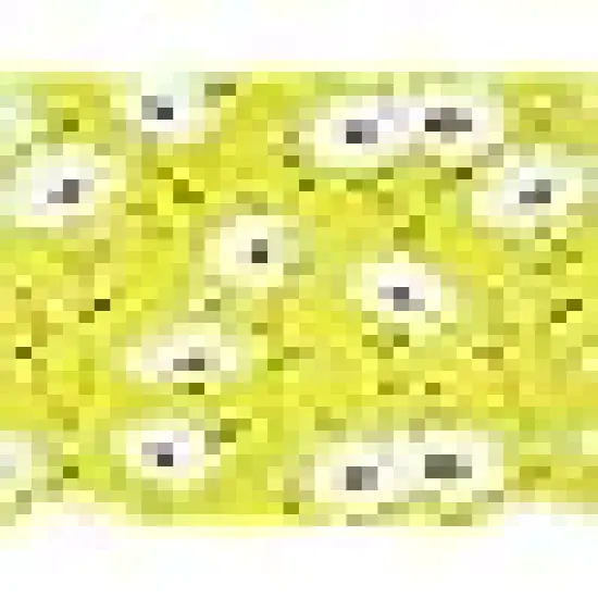 Cotton Fabric Squares 8x8 for Quilt Beginners {5}