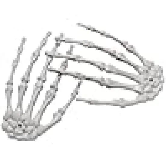 Scary Skeleton Arms Halloween Props for Outdoor Indoor Haunted House Graveyard Decor {6}