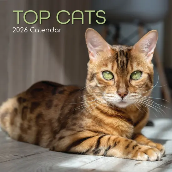 The Gifted Stationary 2026 Square Wall Calendar, Top Cats, 16-Month Animals Theme Hanging Calendar with 180 Reminder Stickers, Month Planner for Home and Creative Spaces, 12x12 In Multicolor {1}
