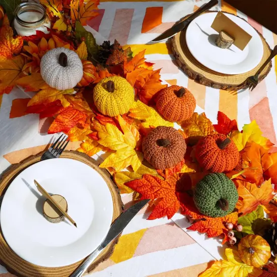 Set of 6 Fall Harvest Crochet Pumpkins Small Knit Pumpkins - Rustic Fall Color {3}